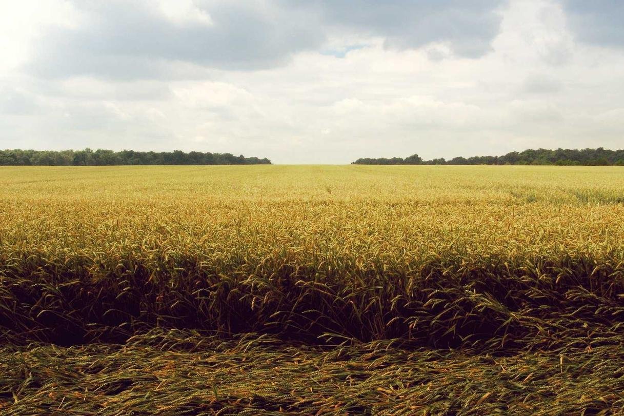 Est aperiam sunt modi quia illo occaecati